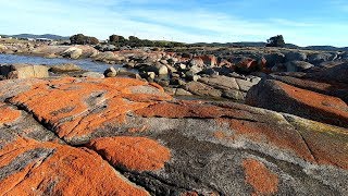 The Garden  Bay of Fires  Tasmania [upl. by Eesak]