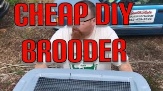 DIY Cheap quick easy chicken brooder [upl. by Sivla643]