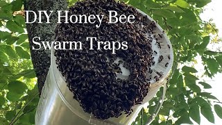 Catch Free Honey Bees  DIY Honey Bee Swarm Traps [upl. by Adnohsal]