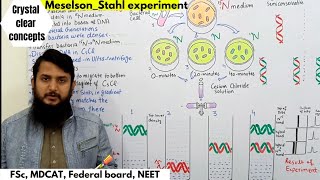 Meselson and stahl experiment  FSc MDCAT Federal board Urduhindi lecture [upl. by Benedict647]