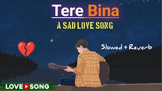 Tere Bina तेरे बिना🥺 Sad song ll Lofi song ll lofi music viral trending sadmusic [upl. by Gonzalez]