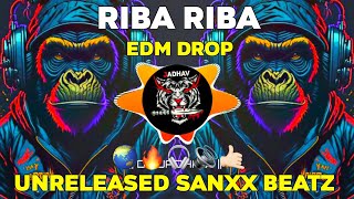 RIBA RIBA  PRIVATE VOL MIX 2021FREAKY EDM MIX  DJ SAMIO REMIX UNRELEASED KING DJS OF MΗ [upl. by Christianna5]