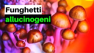 7 FUNGHI ALLUCINOGENI che puoi trovare in Italia [upl. by Leirea]