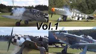 WARBIRD ENGINE STARTS Vol1 [upl. by Adav269]