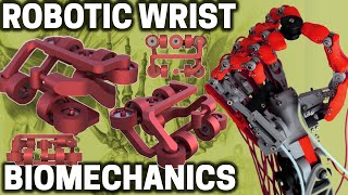 Wrist Biomechanics for Bionic Hands  Biomimetic Mechatronic Hand Part 6 [upl. by Tonie]