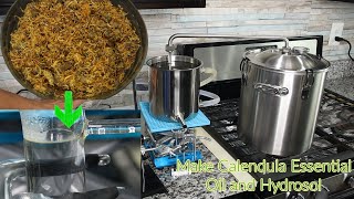 Benefits of Calendula How to Distill Calendula to Make Hydrosol and Essential Oil Calendula Uses [upl. by Alemap]