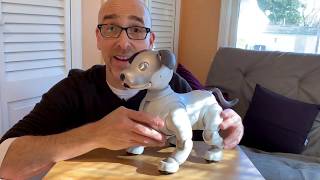 Sony Aibo ERS1000 Review It’s the Ultimate Robot Dog [upl. by Pesek764]