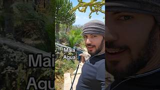 En el jardín del árabe al español learning arabic mexico spanish amazing fyp subscribe [upl. by Sell597]