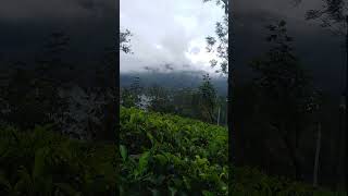 Wassata☄️♥️ lassnma nuwara😝 eliya subscribe karamu [upl. by Anert]