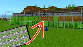 simple Sugar cane farm In minecraft bedrockampjava [upl. by Suoirrad]