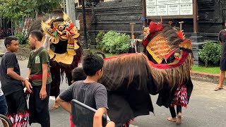 Capung Gantung  Barong Bangkung Kakak Adik Mepetuk Bag2 [upl. by Barnet714]