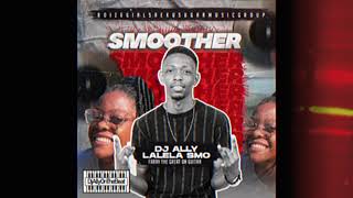 DjAllyOnTheBeat ft Lalela SmoSmoother Visualizer [upl. by Wolk870]