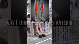 Anterior Tibialis Raise Explained in 60 Seconds [upl. by Ohnuj]