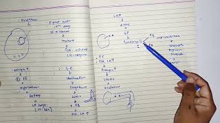 HORMONAL CONTROL OF MENSTRUAL CYCLE part 4 gynaecology tenteacher gynae menstrualcycle [upl. by Althea]