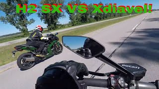 H2 SX VS Ducati Xdiavel [upl. by Alekram]