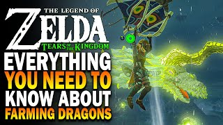 Everything You Need To Know About Farming Dragons In Tears Of The Kingdom  TOTK Tips amp Tricks [upl. by Akinirt]