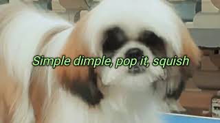 Simple Dimple lyrics English translation [upl. by Drarej]