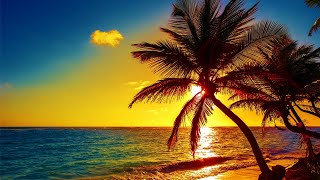 Beautiful Relaxing Peaceful Music Calm Music 247 quotTropical Shoresquot By Tim Janis [upl. by Gamal]