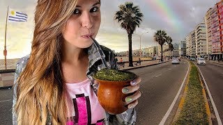 Montevideo Uruguay — Walking Tour【4K】🇺🇾 [upl. by Aciras]