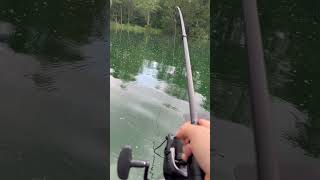 Carpfishing Germany 2024  Karpfenangeln in Deutschland 2024 fishing carpfishing angeln carp [upl. by Karna213]