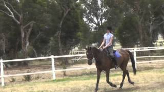 Oh dearJumping in a dressage saddle [upl. by Ayrb]