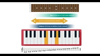 Free lesson from Musicademys Worship Leading course Choosing Songs [upl. by Aziul]