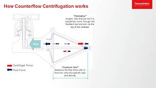 Rotea A versatile cell therapy workflow instrument for cell isolation washing and concentration [upl. by Pucida]