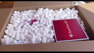 Opening an american girl cyber package 2014 [upl. by Lorolla785]