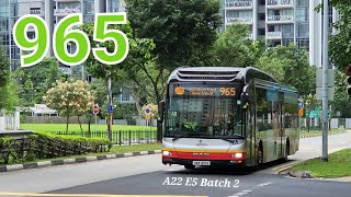 SMB1415R  TTS Bus Service 965 MAN NL323F Euro V Batch 2 [upl. by Salot]