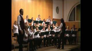 Mundharmonika Ensemble Schloss Riedegg feat bluesharpandy  Country Medley [upl. by Uela]