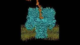 Analyzing DNA with a Bacterial Toxin [upl. by Howard98]