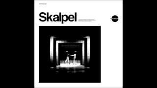 Skalpel  Voice of Reason feat Yarah Bravo [upl. by Giordano]