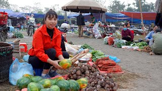 Anas picking papaya and taro to sell at the market and buying ducklings  living in the forest [upl. by Refynnej]