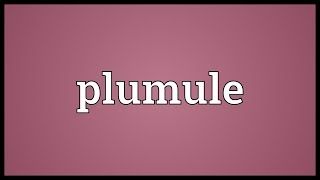 Plumule Meaning [upl. by Kopaz]