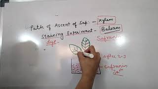 Ascent of Sap Vital Force Theory and Root Pressure Theory [upl. by Warga733]