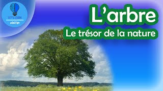 Larbre  Lets Learn [upl. by Marlie]