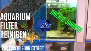 AQUARIUM FILTER REINIGEN nach über 2 JAHREN I TAX [upl. by Aleil51]