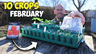 10 Crops youd be Foolish Not to Plant in February [upl. by Rehctelf]