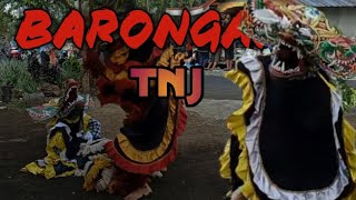 barongan rampak singgo barong turonggo nogo jati pulosari [upl. by Khoury]