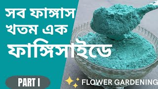 How To Use Fungicide On Plants  গাছে ছত্রাকনাশকের ব্যবহার  How To Control Fungus On Plants [upl. by Jeraldine]