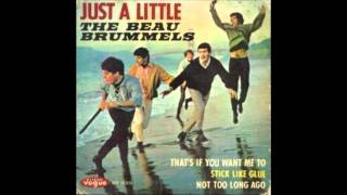 The Beau Brummels  Just A Little [upl. by Annauqaj]