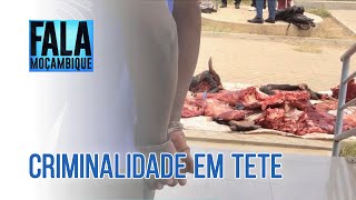 Na província de Tete Detido cidadão acusado de roubo de 10 cabeças de gado bovino PortalFM24 [upl. by Rebbecca]