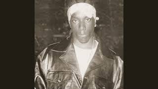 BIG L LIFESTYLEZ OF DA POOR amp DANGEROUS WSJ REMIX [upl. by Garnette]