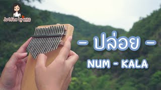 ปล่อย  NUM KALA  Kalimba cover [upl. by Etz]