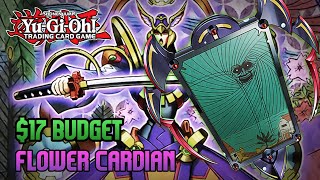 17 For An Entire Deck Flower Cardian YuGiOh Dont Break The Bank [upl. by Atila473]