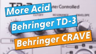 More Acid  2x Behringer TD3 and Behringer Crave [upl. by Amsden299]