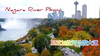 Driving from Niagara Falls to Niagara on the Lake on Niagara River Pkwy Ontario Canada 尼亚加拉河公园大道 [upl. by Acinelav]