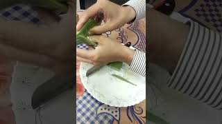 Aloe Vera experiment aloevera [upl. by Damaris]