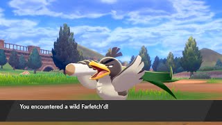 Galarian Farfetchd Location  Pokémon Sword Exclusive [upl. by Yesllek]