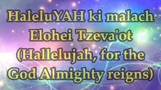 Learn Hebrew Through Song  ft Sarah Liberman  Gadol Adonai  Lyrics and Translation music [upl. by Rebmat]